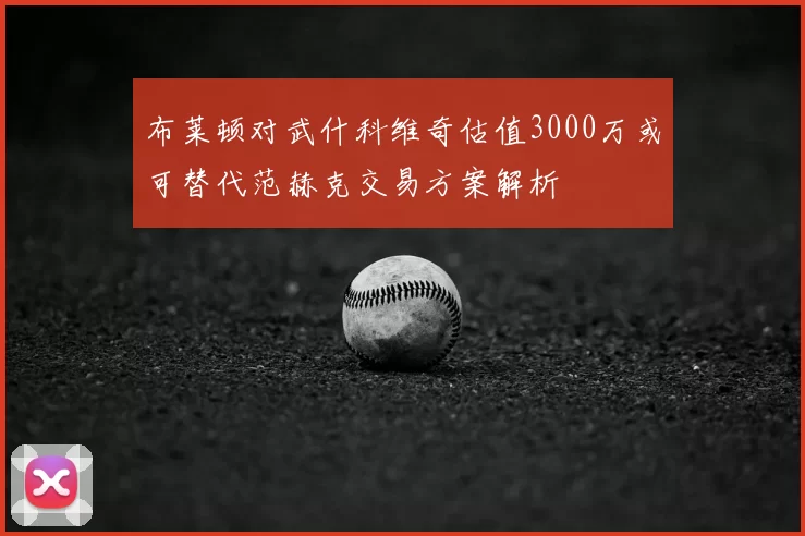 布莱顿对武什科维奇估值3000万或可替代范赫克交易方案解析