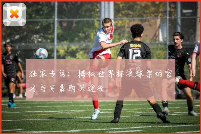 独家专访：揭秘世界杯滚球票的官方与可靠购买途径