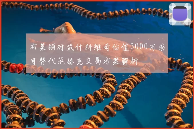 布莱顿对武什科维奇估值3000万或可替代范赫克交易方案解析