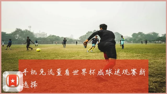 手机免流量看世界杯成球迷观赛新选择