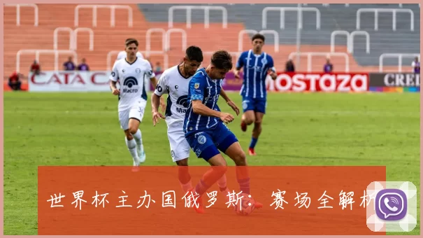 世界杯主办国俄罗斯：赛场全解析
