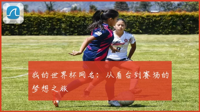 我的世界杯网名：从看台到赛场的梦想之旅
