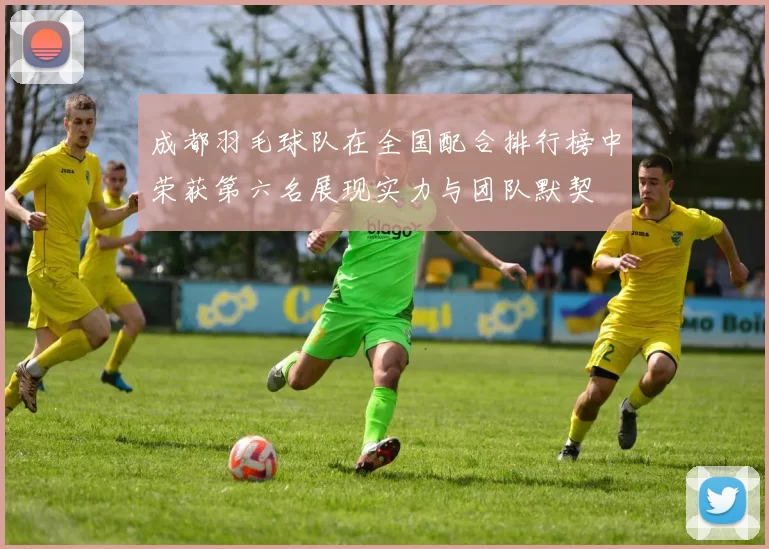 成都羽毛球队在全国配合排行榜中荣获第六名展现实力与团队默契