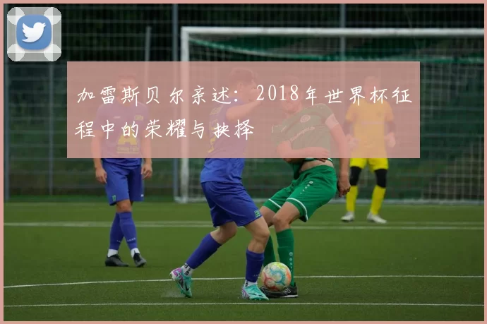 加雷斯贝尔亲述：2018年世界杯征程中的荣耀与抉择