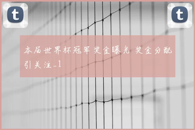 本届世界杯冠军奖金曝光 奖金分配引关注_1