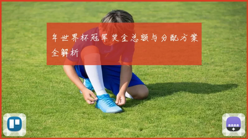 年世界杯冠军奖金总额与分配方案全解析