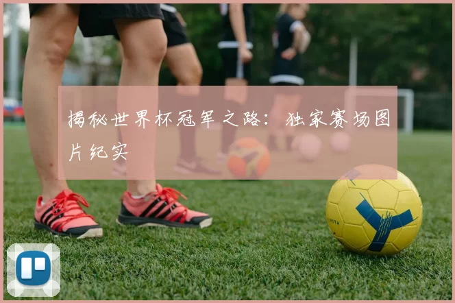 揭秘世界杯冠军之路：独家赛场图片纪实