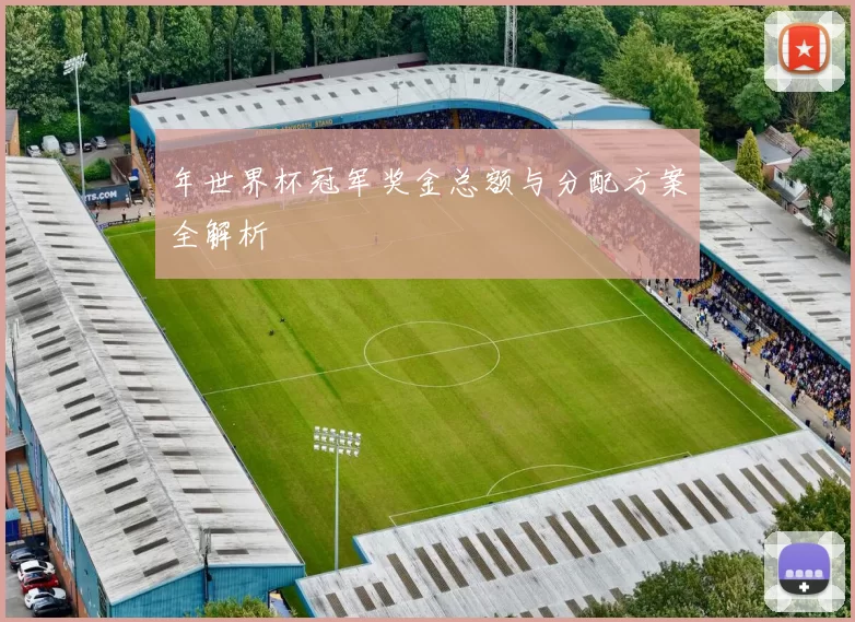 年世界杯冠军奖金总额与分配方案全解析