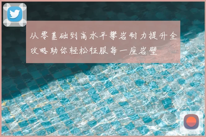 从零基础到高水平攀岩耐力提升全攻略助你轻松征服每一座岩壁