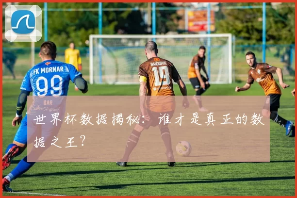 世界杯数据揭秘:谁才是真正的数据之王?