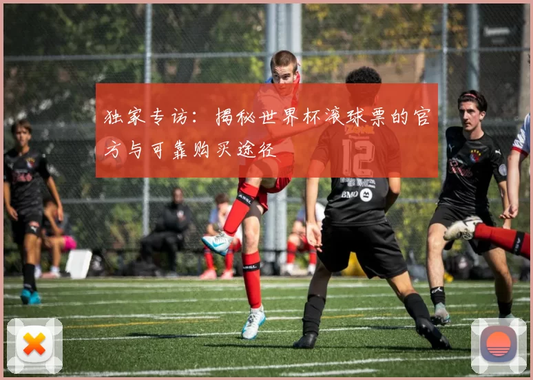 独家专访:揭秘世界杯滚球票的官方与可靠购买途径