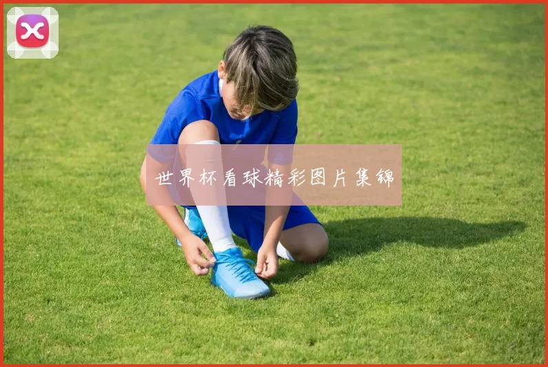 世界杯看球精彩图片集锦