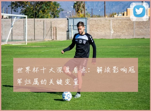 世界杯十大深度看点:解读影响冠军归属的关键变量